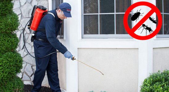 Onikişubat Karınca İlaçlama böcek ilaçlama ve haşere kontrolü — ilaclama-tr.com